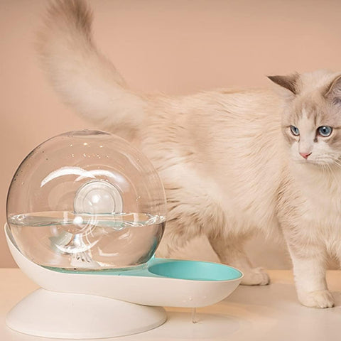 Pet Water Dispenser