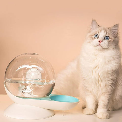 Pet Water Dispenser