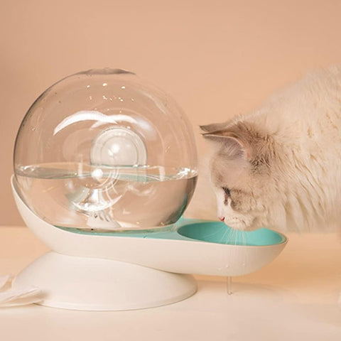 Pet Water Dispenser