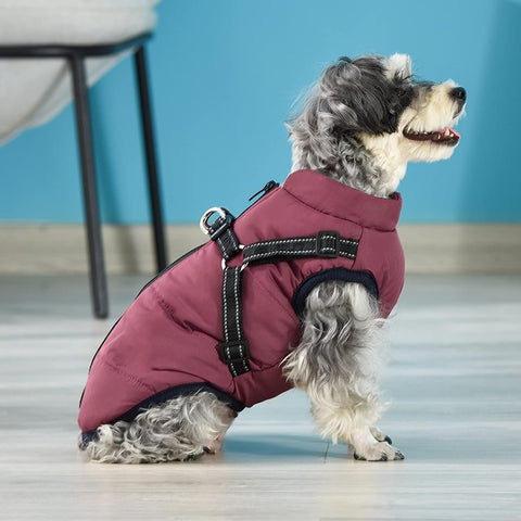 Dog coat with built in harness hotsell