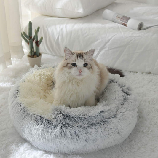 2 In 1 Cat Bed