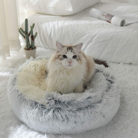 2 In 1 Cat Bed