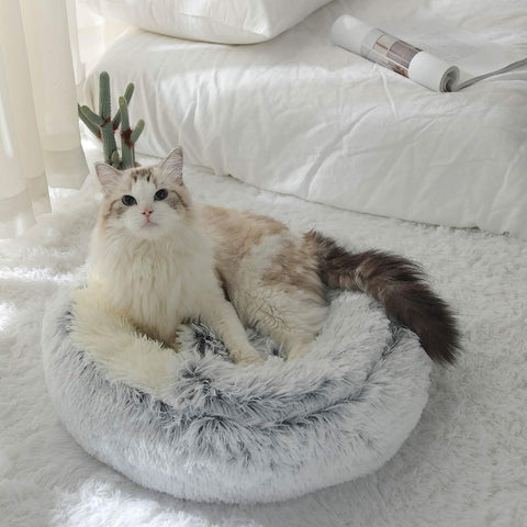 2 In 1 Cat Bed